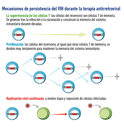 Imagen: Mecanismos de persistencia del VIH durante la terapia antirretroviral
